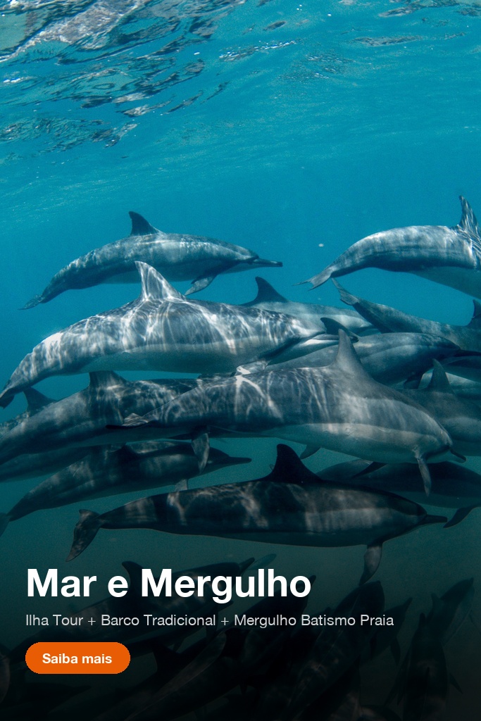 Combo Ilha Tour, Barco Tradicional Escuna e Mergulho Batismo de Praia em Fernando de Noronha