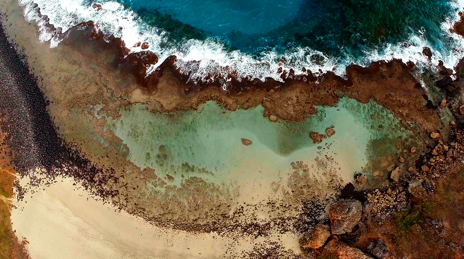 Melhores passeios de Fernando de Noronha: quais fazer